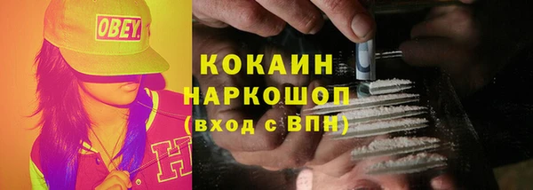 тгк Богородицк