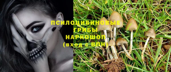 тгк Богородицк