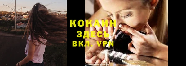 винт Богданович