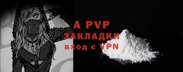 молекула духа Богородск