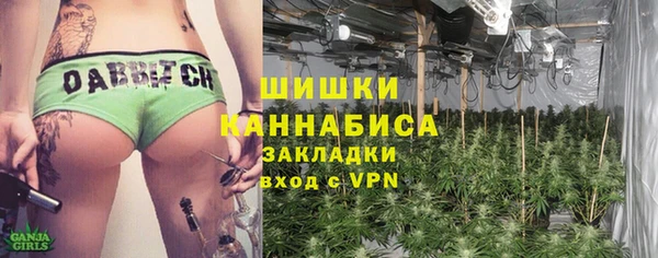 винт Богданович