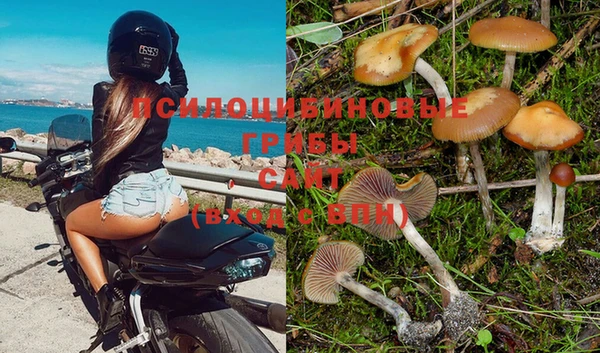 молекула духа Богородск