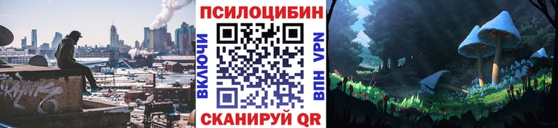 Галлюциногенные грибы Psilocybine cubensis Улан-Удэ